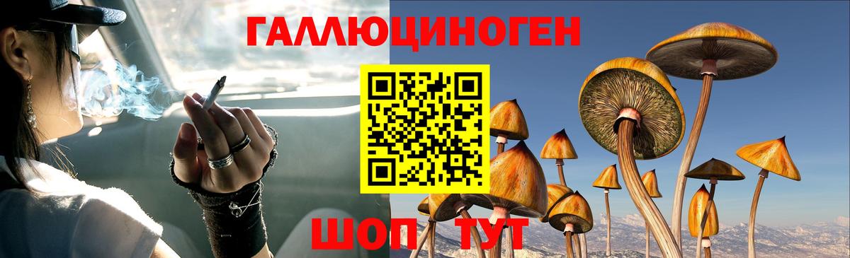 Галлюциногенные грибы GOLDEN TEACHER Янаул